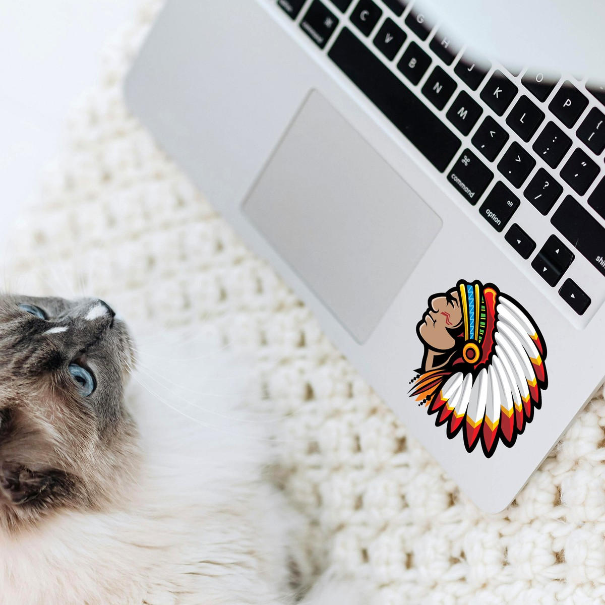 Native American Chief Head Vinyl Sticker 9 Native American Chief Head Vinyl Sticker - Image 7