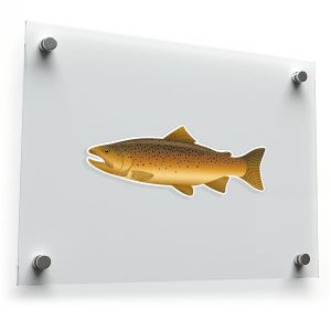 Realistic Brown Trout Fish Sticker