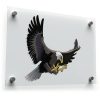 Soaring Bald Eagle Vinyl Sticker