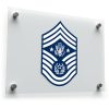 US Air Force Rank Insignia Vinyl Decal 1