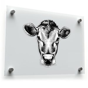 Vintage Cow Head Illustration Sticker