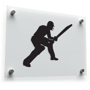 Cricket Player Decal - Sports Sticker