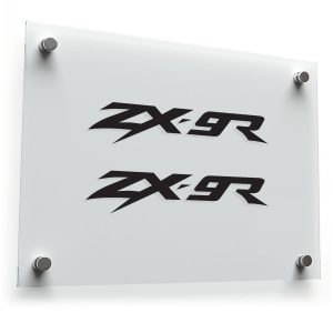 Kawasaki ZXR Logo Sticker Set