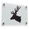 Majestic Deer Head Decal
