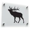 Majestic Elk Decal