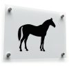 Majestic Horse Decal - Elegant Stallion
