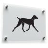 Pointer Dog Sticker - Sporting Dog