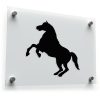 Rearing Horse Decal - Majestic Stallion 1