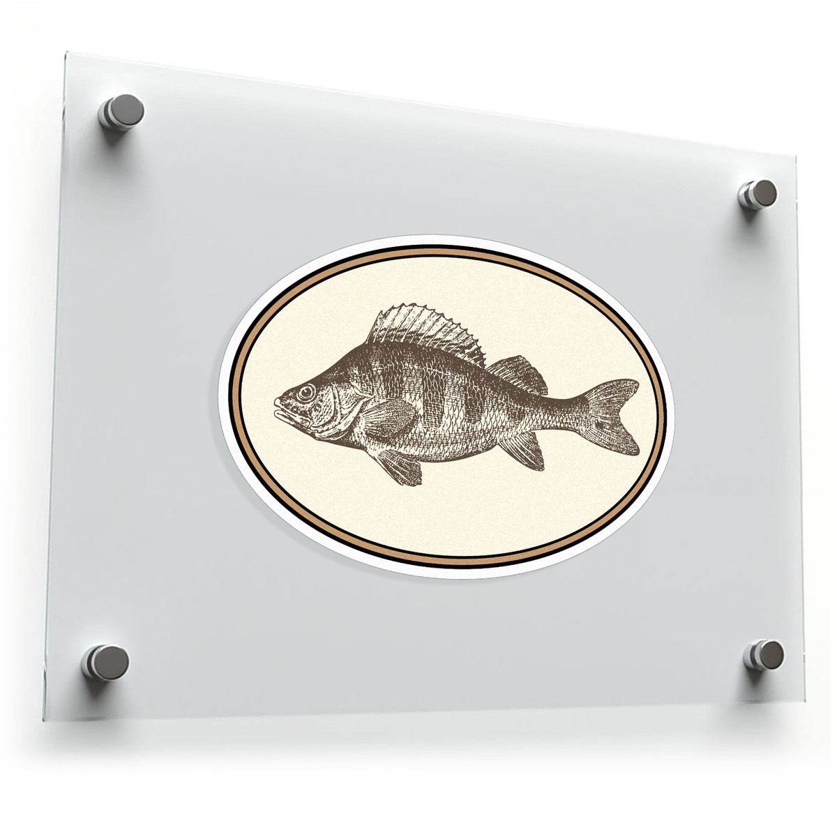 Vintage Fish Illustration Sticker 3 Vintage Fish Illustration Sticker