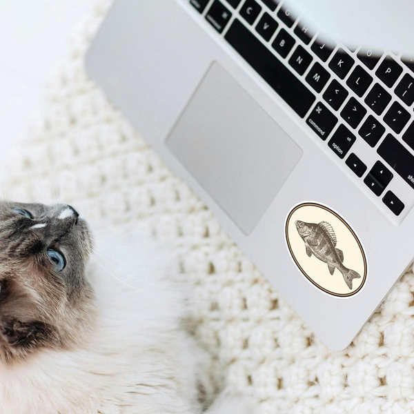 Vintage Fish Illustration Sticker 7 Vintage Fish Illustration Sticker - Image 5