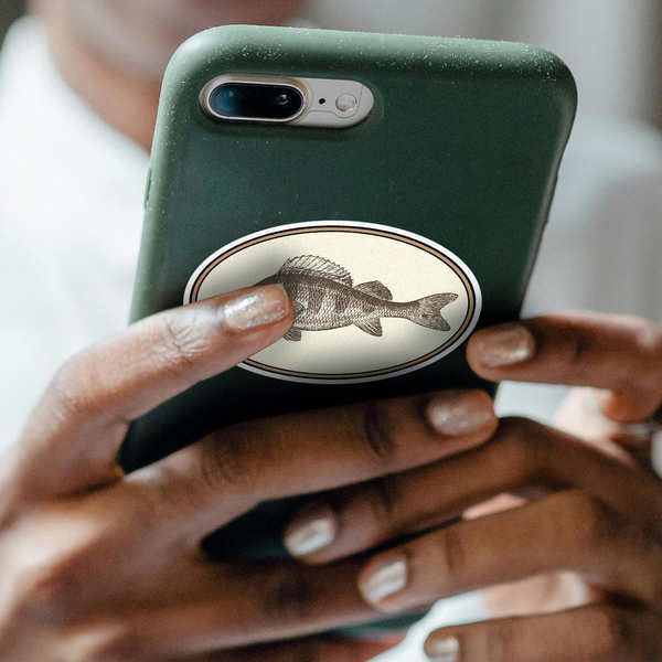 Vintage Fish Illustration Sticker 8 Vintage Fish Illustration Sticker - Image 6