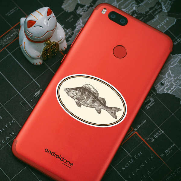 Vintage Fish Illustration Sticker 9 Vintage Fish Illustration Sticker - Image 7